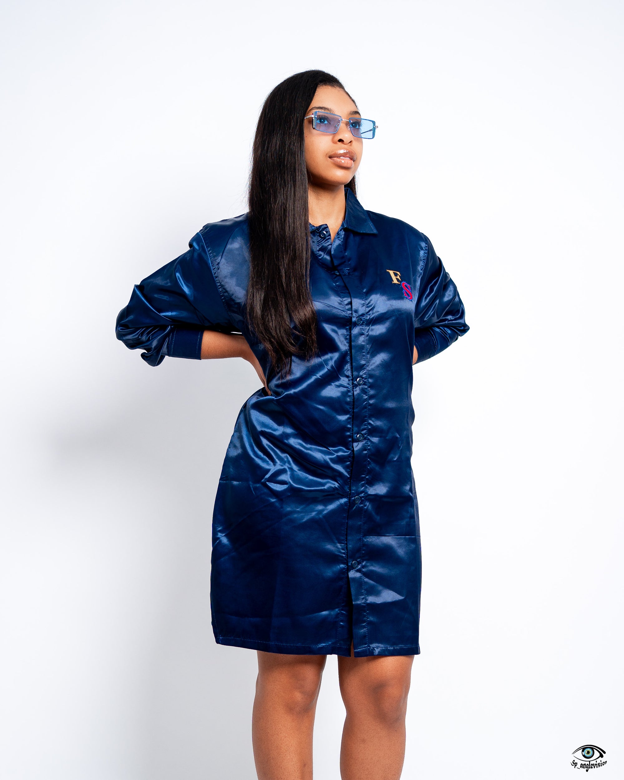 Ashley Button Down Dress